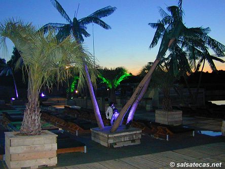 Palm Trees at Sunrise Beachclub, Best
