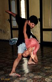 anklicken zum Vergr��ern - click to enlarge